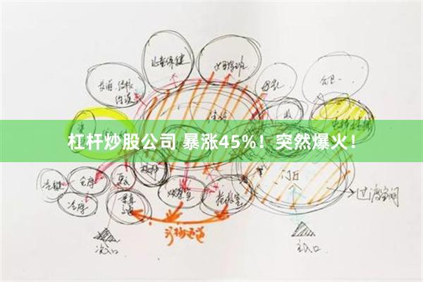 杠杆炒股公司 暴涨45%！突然爆火！