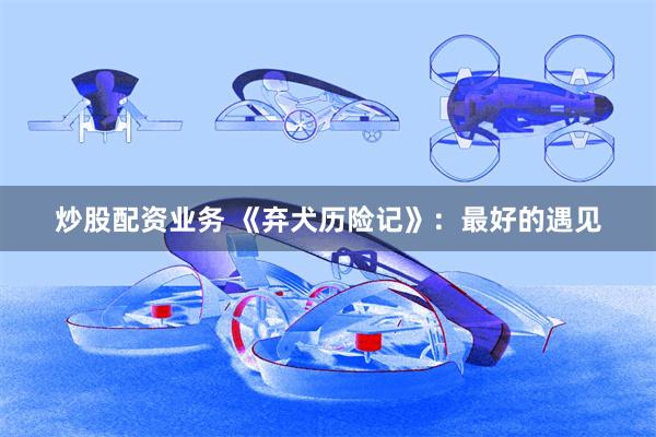 炒股配资业务 《弃犬历险记》：最好的遇见