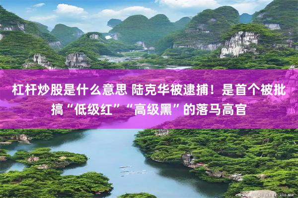 杠杆炒股是什么意思 陆克华被逮捕！是首个被批搞“低级红”“高级黑”的落马高官