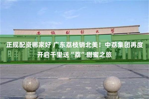 正规配资哪家好 广东荔枝销北美！中荔集团再度开启千里送“荔”甜蜜之旅
