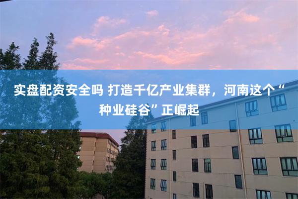 实盘配资安全吗 打造千亿产业集群，河南这个“种业硅谷”正崛起