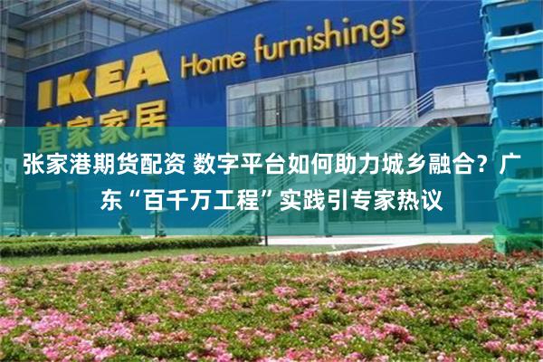 张家港期货配资 数字平台如何助力城乡融合？广东“百千万工程”实践引专家热议