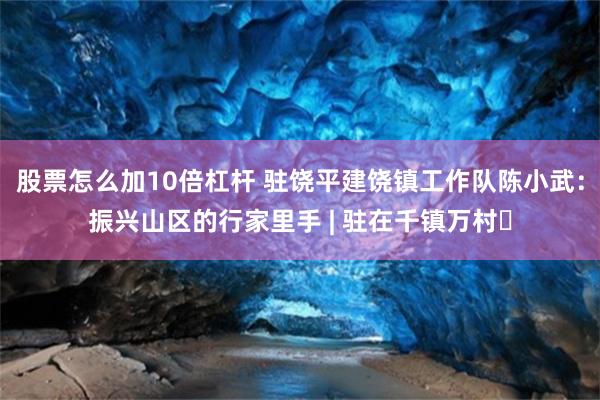 股票怎么加10倍杠杆 驻饶平建饶镇工作队陈小武：振兴山区的行家里手 | 驻在千镇万村⑫
