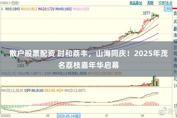 散户股票配资 时和荔丰，山海同庆！2025年茂名荔枝嘉年华启幕