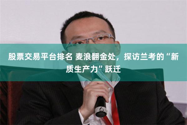 股票交易平台排名 麦浪翻金处，探访兰考的“新质生产力”跃迁