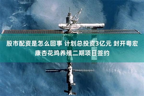 股市配资是怎么回事 计划总投资3亿元 封开粤宏康杏花鸡养殖二期项目签约
