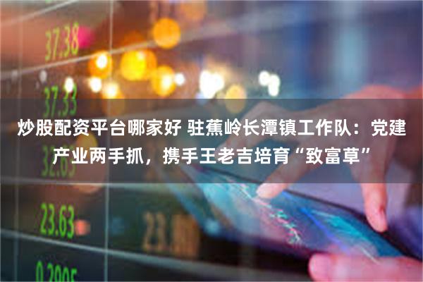 炒股配资平台哪家好 驻蕉岭长潭镇工作队：党建产业两手抓，携手王老吉培育“致富草”