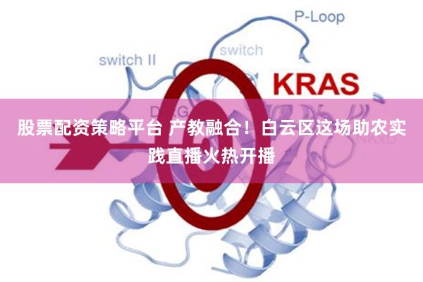 股票配资策略平台 产教融合！白云区这场助农实践直播火热开播