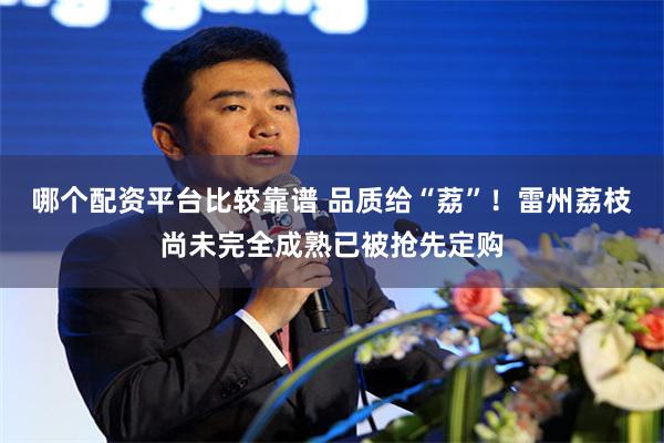 哪个配资平台比较靠谱 品质给“荔”！雷州荔枝尚未完全成熟已被抢先定购