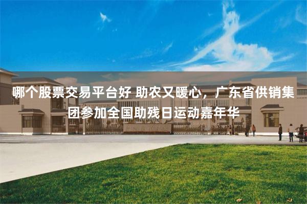 哪个股票交易平台好 助农又暖心，广东省供销集团参加全国助残日运动嘉年华