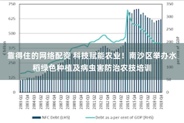 靠得住的网络配资 科技赋能农业！南沙区举办水稻绿色种植及病虫害防治农技培训