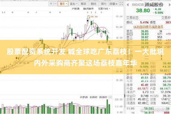 股票配资系统开发 喊全球吃广东荔枝！一大批境内外采购商齐聚这场荔枝嘉年华