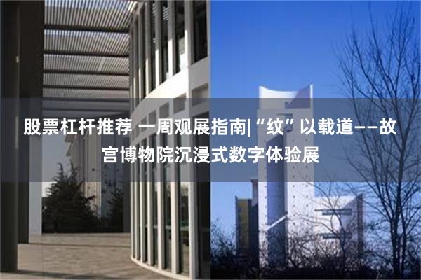 股票杠杆推荐 一周观展指南|“纹”以载道——故宫博物院沉浸式数字体验展