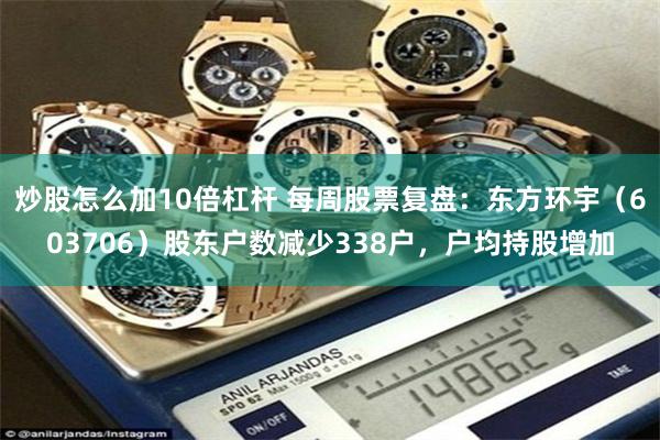 炒股怎么加10倍杠杆 每周股票复盘：东方环宇（603706）股东户数减少338户，户均持股增加