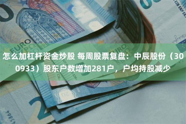 怎么加杠杆资金炒股 每周股票复盘：中辰股份（300933）股东户数增加281户，户均持股减少
