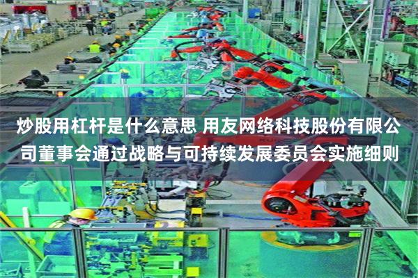 炒股用杠杆是什么意思 用友网络科技股份有限公司董事会通过战略与可持续发展委员会实施细则