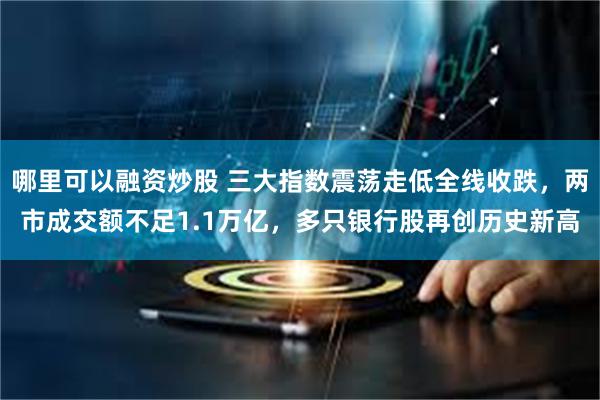 哪里可以融资炒股 三大指数震荡走低全线收跌，两市成交额不足1.1万亿，多只银行股再创历史新高