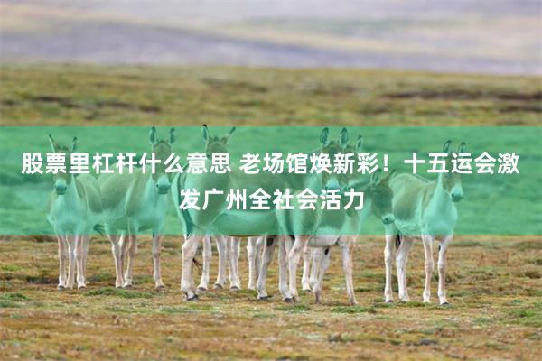 股票里杠杆什么意思 老场馆焕新彩！十五运会激发广州全社会活力