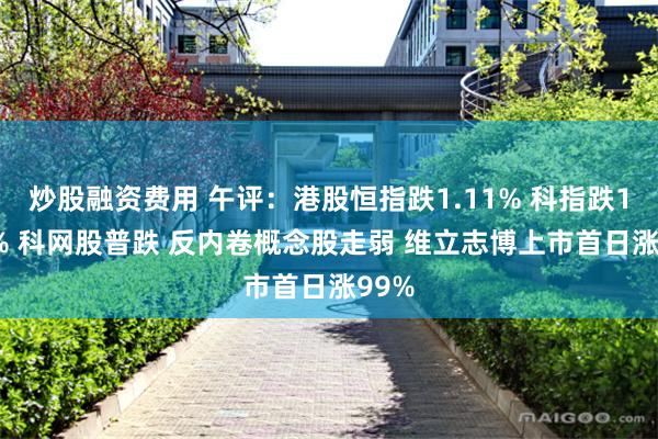 炒股融资费用 午评：港股恒指跌1.11% 科指跌1.69% 科网股普跌 反内卷概念股走弱 维立志博上市首日涨99%