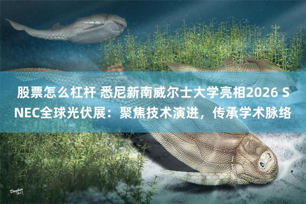股票怎么杠杆 悉尼新南威尔士大学亮相2026 SNEC全球光伏展：聚焦技术演进，传承学术脉络