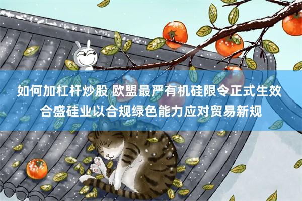 如何加杠杆炒股 欧盟最严有机硅限令正式生效 合盛硅业以合规绿色能力应对贸易新规