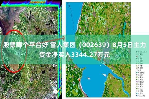 股票哪个平台好 雪人集团（002639）8月5日主力资金净买入3344.27万元