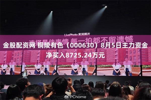 金股配资网 铜陵有色（000630）8月5日主力资金净买入8725.24万元