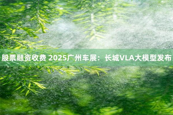 股票融资收费 2025广州车展：长城VLA大模型发布