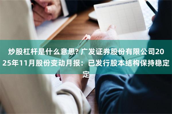 炒股杠杆是什么意思? 广发证券股份有限公司2025年11月股份变动月报：已发行股本结构保持稳定