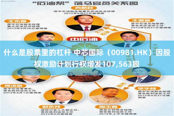 什么是股票里的杠杆 中芯国际（00981.HK）因股权激励计划行权增发107,563股