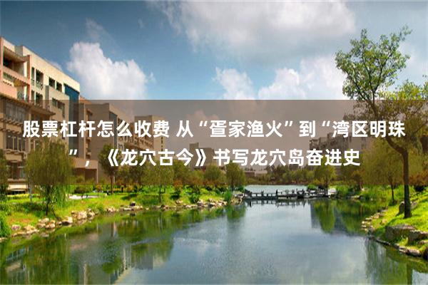 股票杠杆怎么收费 从“疍家渔火”到“湾区明珠”，《龙穴古今》书写龙穴岛奋进史