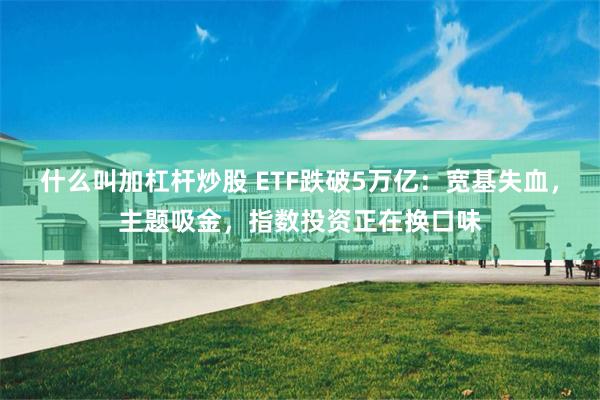 什么叫加杠杆炒股 ETF跌破5万亿：宽基失血，主题吸金，指数投资正在换口味