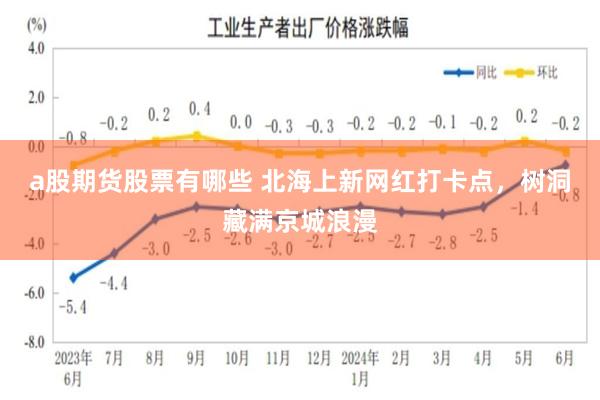 a股期货股票有哪些 北海上新网红打卡点,树洞藏满京城浪漫
