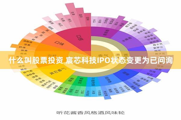 什么叫股票投资 宸芯科技IPO状态变更为已问询