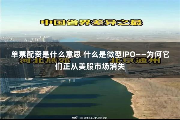 单票配资是什么意思 什么是微型IPO——为何它们正从美股市场消失
