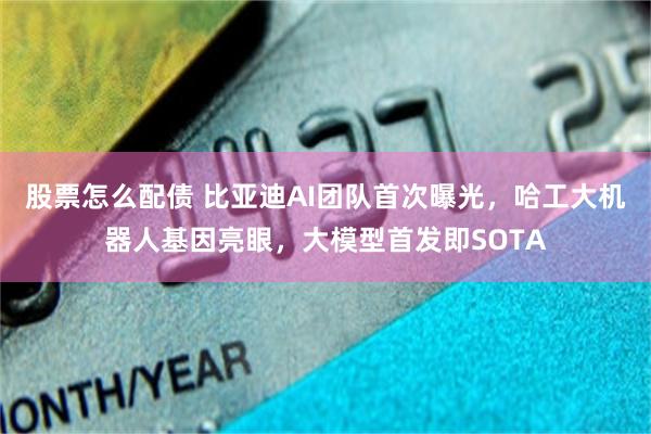 股票怎么配债 比亚迪AI团队首次曝光，哈工大机器人基因亮眼，大模型首发即SOTA