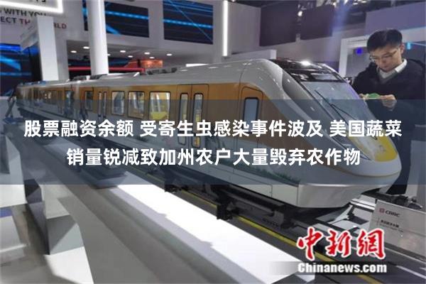 股票融资余额 受寄生虫感染事件波及 美国蔬菜销量锐减致加州农户大量毁弃农作物
