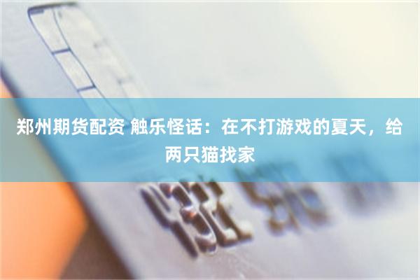郑州期货配资 触乐怪话：在不打游戏的夏天，给两只猫找家