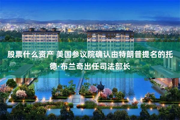 股票什么资产 美国参议院确认由特朗普提名的托德·布兰奇出任司法部长