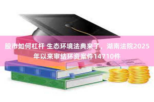 股市如何杠杆 生态环境法典来了，湖南法院2025年以来审结环资案件14710件