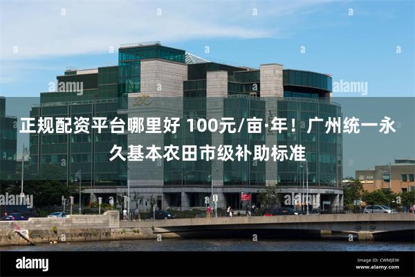 正规配资平台哪里好 100元/亩·年！广州统一永久基本农田市级补助标准