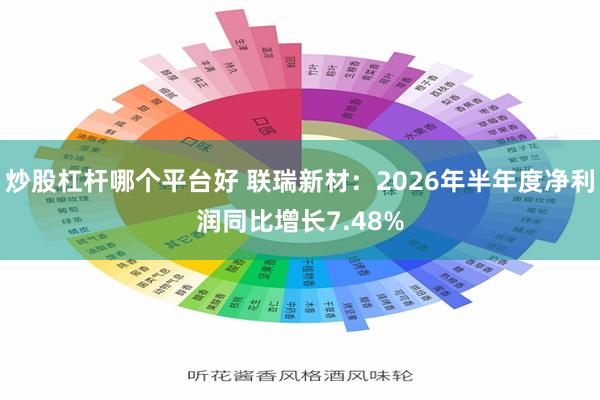 炒股杠杆哪个平台好 联瑞新材：2026年半年度净利润同比增长7.48%