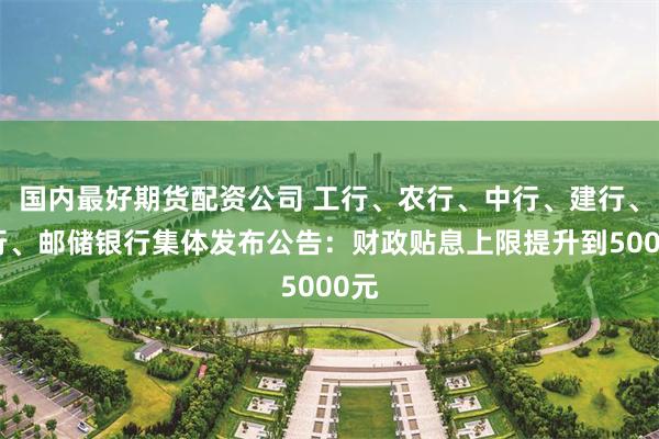 国内最好期货配资公司 工行、农行、中行、建行、交行、邮储银行集体发布公告：财政贴息上限提升到5000元