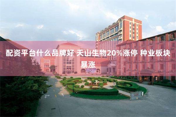 配资平台什么品牌好 天山生物20%涨停 种业板块暴涨