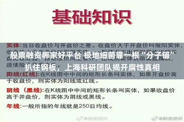 股票融资哪家好平台 极地细菌靠一根“分子锚”扒住钢板,上海科研团队揭开腐蚀真相