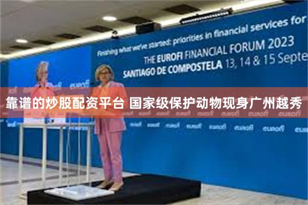 靠谱的炒股配资平台 国家级保护动物现身广州越秀