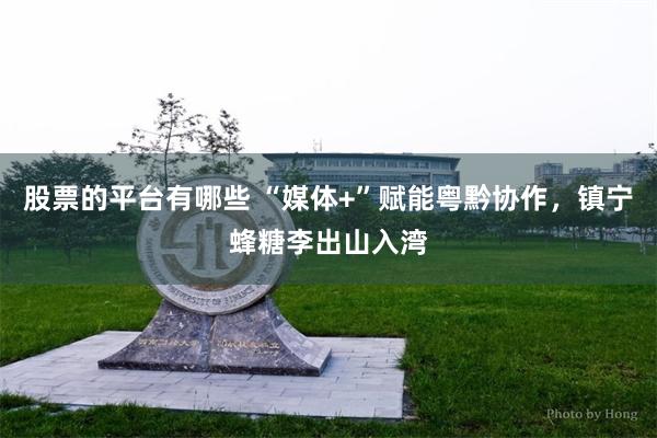 股票的平台有哪些 “媒体+”赋能粤黔协作，镇宁蜂糖李出山入湾