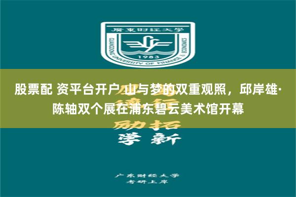 股票配 资平台开户 山与梦的双重观照,邱岸雄·陈轴双个展在浦东碧云美术馆开幕