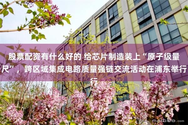 股票配资有什么好的 给芯片制造装上“原子级量尺”，跨区域集成电路质量强链交流活动在浦东举行