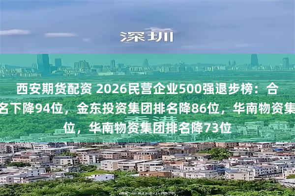 西安期货配资 2026民营企业500强退步榜：合肥维天运通排名下降94位，金东投资集团排名降86位，华南物资集团排名降73位